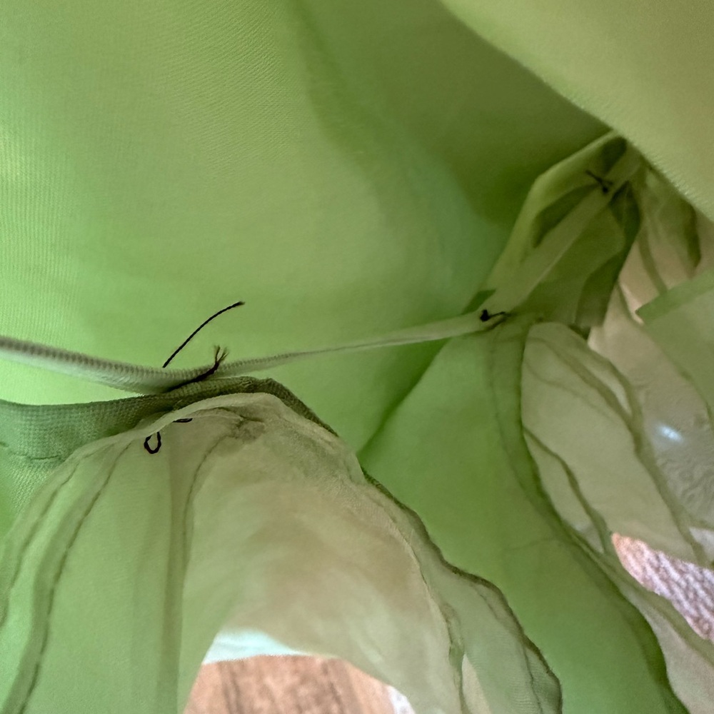 Regency Light Green Gown - Picture 6 of 9